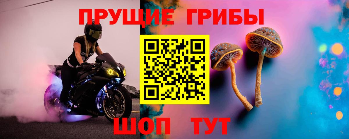 Галлюциногенные грибы мухоморы  купить  сайты  Полысаево  Вход с VPN  Псилоцибиновые грибы Psilocybine cubensis 